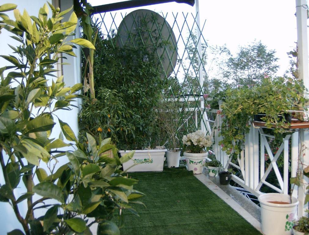 Il Giardino Delle Farfalle Valgioie Exterior foto